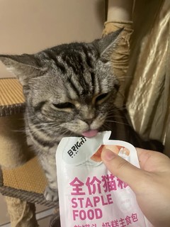 开眼了！新手养猫直接喂这