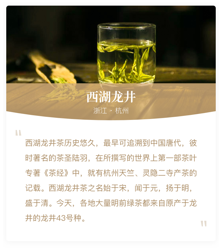 中国春日绿茶地理