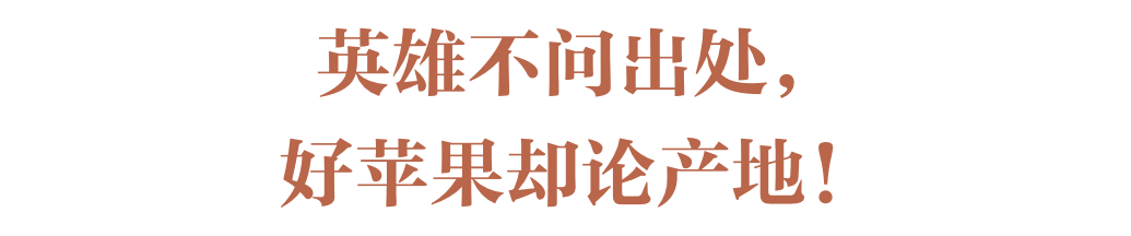 苹果，你可能从来没吃对！