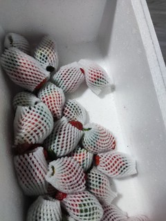 挺不错的草莓