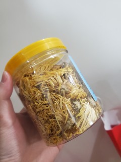 来一杯菊花茶哦！