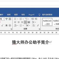 在线Office 篇九：VUE实现Office文档在线编辑，支持doc/docx、xls/xlsx、ppt/pptx、p...