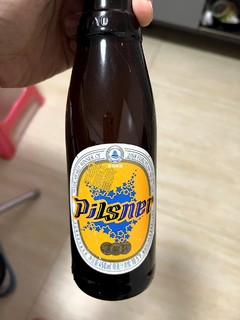 🍺 青啤皮尔森啤酒：品质之选，口感之巅