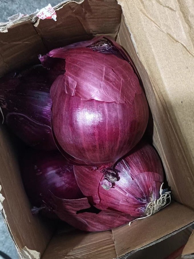 农家种植洋葱生吃甜脆多汁