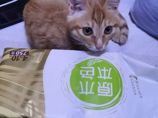 猫咪也爱的卷纸