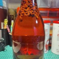 泡酒专用酒