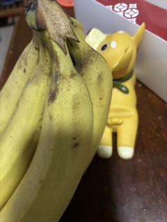 累了怎么办，来一个蕉蕉续命吧