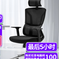 网易严选小蛮腰双背人体工学椅：让你的办公时光更健康舒适