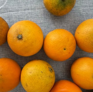 吃橙子，健康又美味！