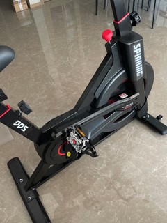 多德士（DDS） 动感单车家用锻炼健身车室内运动自行车健身器材 DDS9320