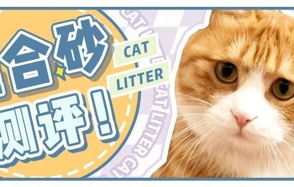 无尘、不沾底、还便宜！混合砂真的是性价比之王？