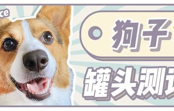 知名狗罐PK赛惊现黑马？以前只买贵的，以后只买对的！