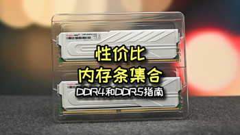 种草日记 篇五十二：性价比内存条集合：DDR4和DDR5选购指南