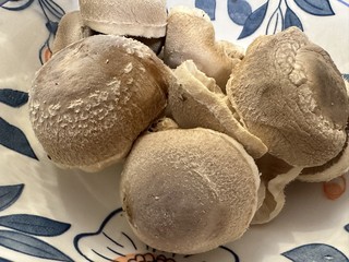 智能家电 篇五：超级菇菇生态箱，一键启动，种出满满健康与美味！
