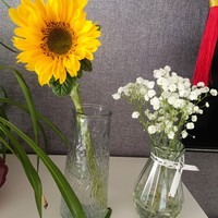 有了这个便宜玻璃花瓶，家里的向日葵终于不用在水桶里受委屈了