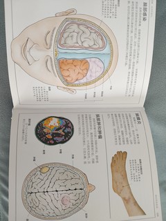 人体百科全书