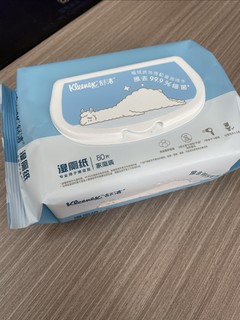 目前用过最好用的湿厕纸