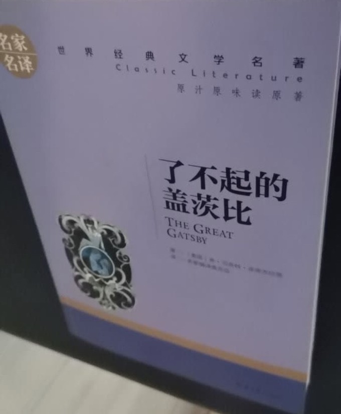 了不起的盖茨比开头图片