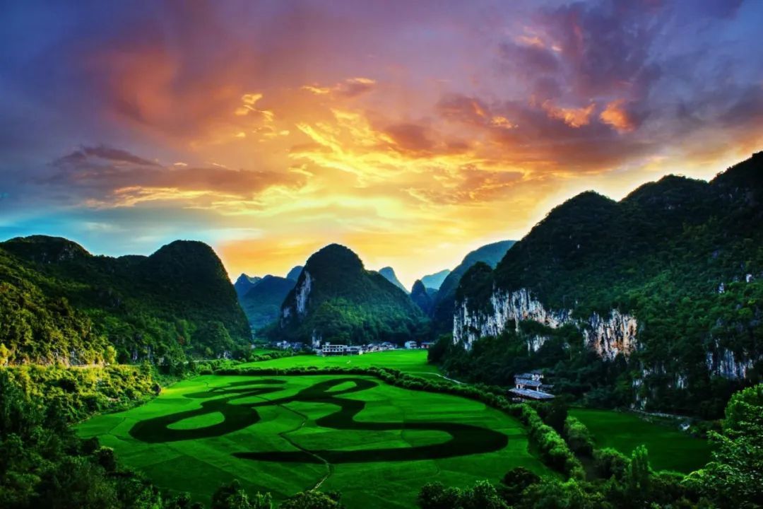 旅游指北针 篇一百七十五:中国面积最大的樱花地,80万亩油菜花!来这6