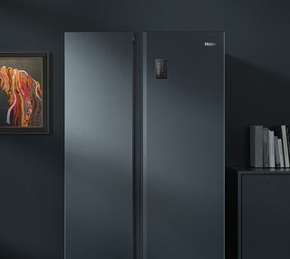 海尔冰箱双开门，大容量、高性能节能环保