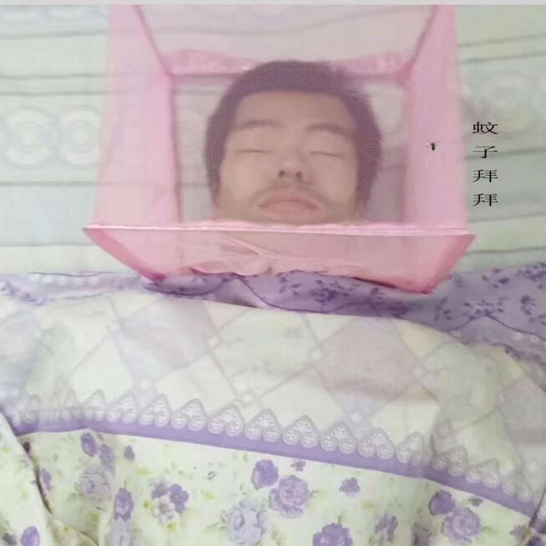 震惊!这款头部蚊帐绝了!