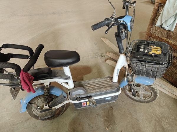 跟了我三年多的赛鸽电动车