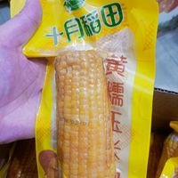 十月稻田黄玉米