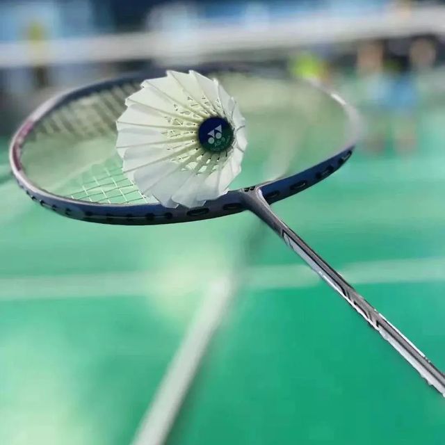 红双喜羽毛球_dhs 红双喜 eg12 羽毛球 白色 12只装多少钱-什么值得买