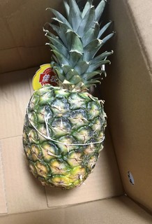 佳农菲律宾菠萝