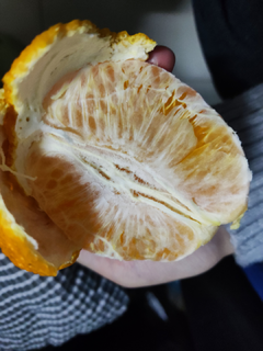 19.9五斤的丑橘，味道还不错。
