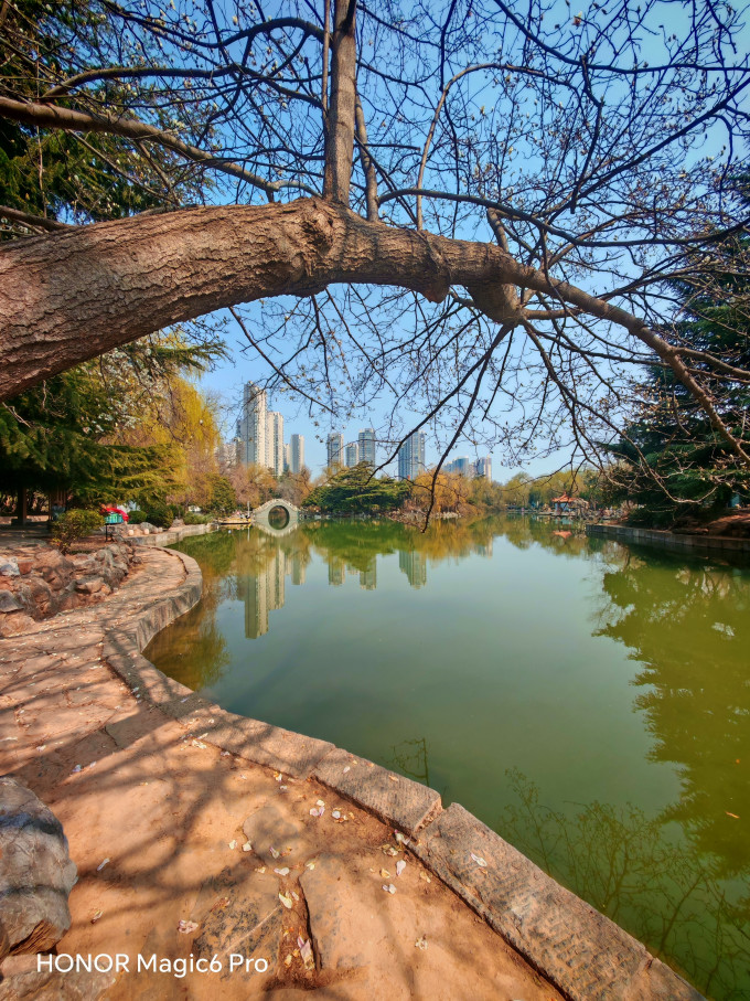 荣耀magic6 pro安卓手机怎么样 全焦段出动,荣耀magic6pro拍照强不?