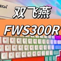 自研轻音飞飞轴，双飞燕FWS300R开箱图赏