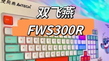 自研轻音飞飞轴，双飞燕FWS300R开箱图赏