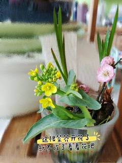 油焖春笋和菜芥，菜芥吃掉了，改银鱼炒蛋