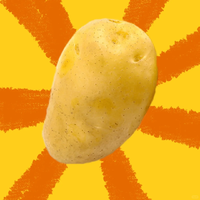 土豆产地商家来啦：健康美味两不误！