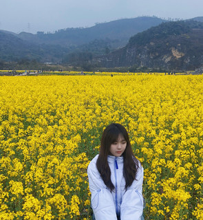 油菜花季节，又冷又热