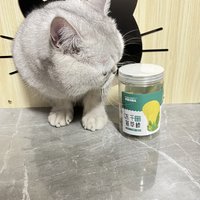 小馒头的猫草零食