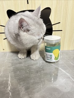 小馒头的猫草零食