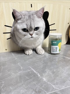 小馒头的猫草零食