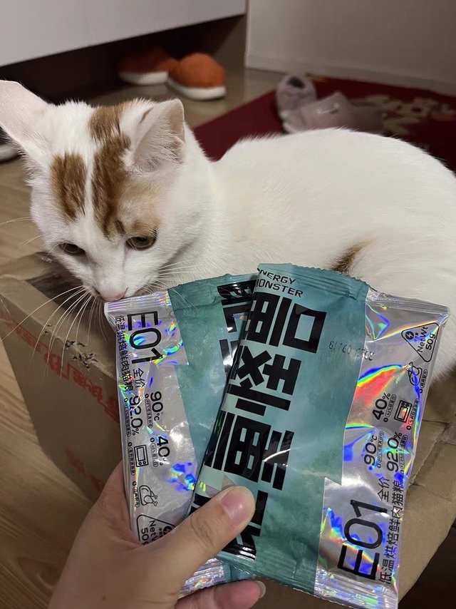 能量怪兽这猫粮谁用谁夸