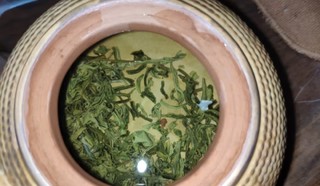 浓香茉莉花茶，你喝了吗？