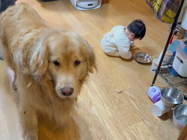 喵🐱：你俩礼貌吗？