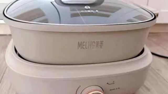 适合家庭的电煮火锅物超所值