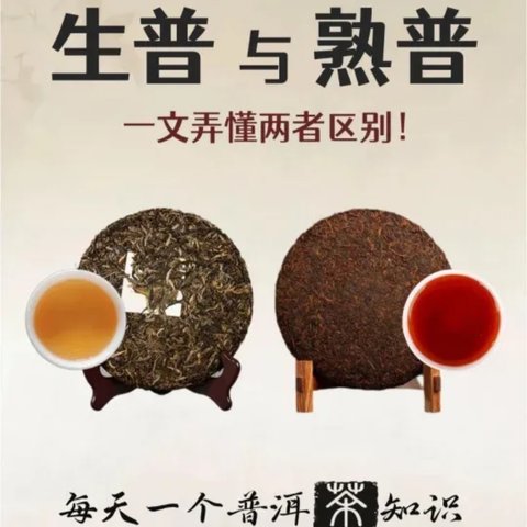 一文讲清楚	普洱生茶与熟茶的区别