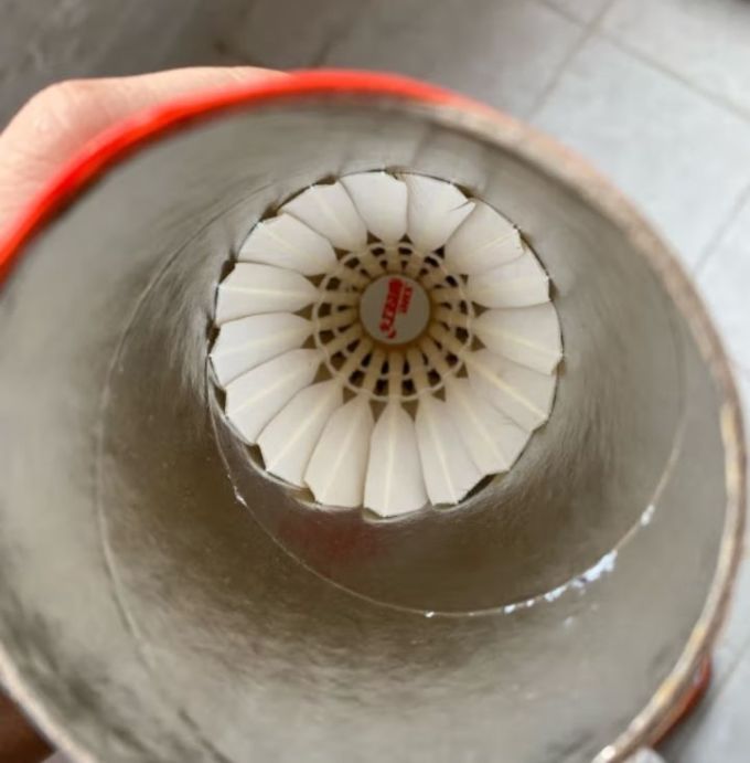 红双喜dhs羽毛球比赛耐打复合软木鹅毛羽毛球12只装eg12