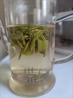 让我看看你在办公室喝的茶，龙井茶