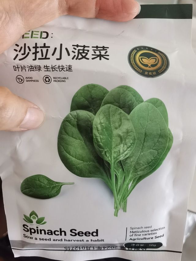 新手小白学种菜