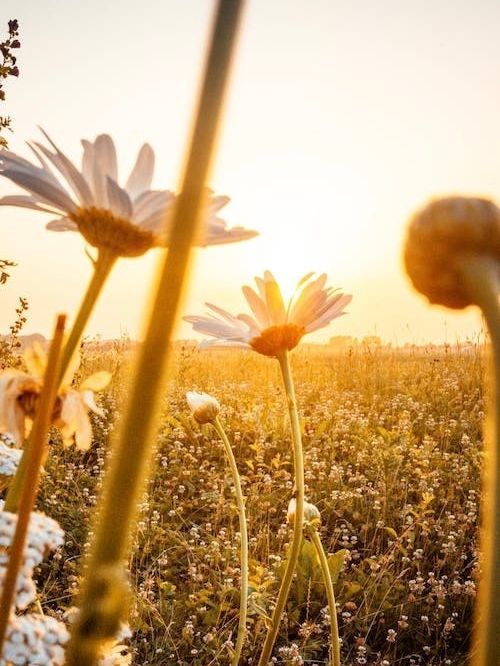 跑步感悟：只要我们有勇气去追求，所有的梦想都能成真！