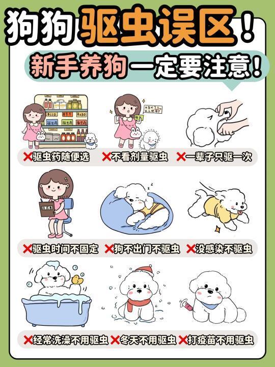 狗狗驱虫误区一览🔍新手养狗定须注意⚠️
