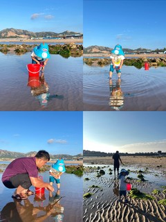 带一本书去赶海——《我们赶海去：海边生物的“三百六十行》